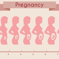 تغییرات بدن در دوران بارداری